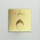 Einzelthermostat in Brushed Gold von Ideal Standard, mit einem zentralen Drehknopf zur Einstellung, montiert auf einem quadratischen Panel.